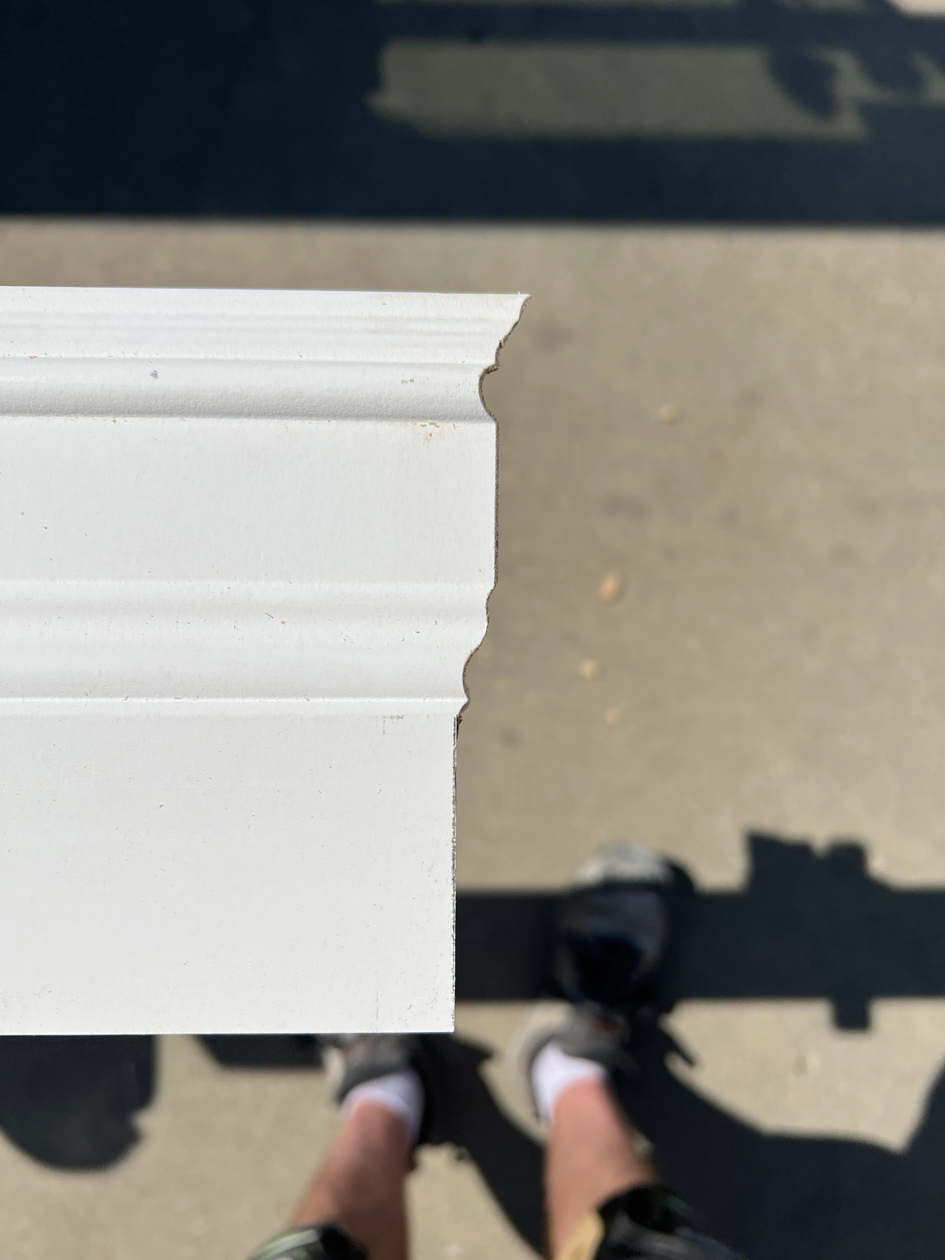 Wainscoting and crown molding detail